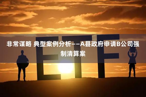 非常谋略 典型案例分析——A县政府申请B公司强制清算案