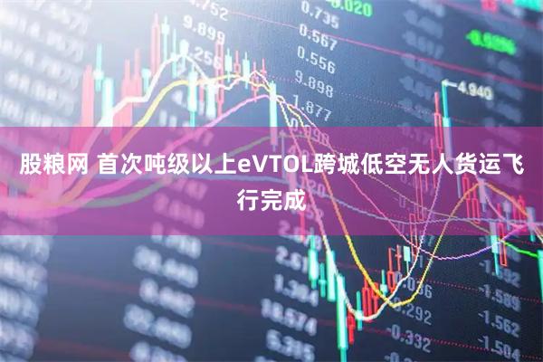 股粮网 首次吨级以上eVTOL跨城低空无人货运飞行完成