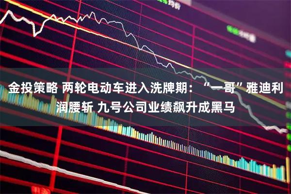 金投策略 两轮电动车进入洗牌期：“一哥”雅迪利润腰斩 九号公司业绩飙升成黑马