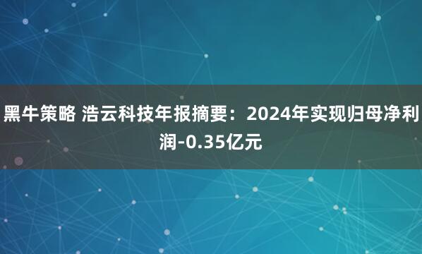 黑牛策略 浩云科技年报摘要：2024年实现归母净利润-0.35亿元