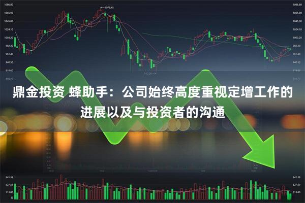 鼎金投资 蜂助手：公司始终高度重视定增工作的进展以及与投资者的沟通