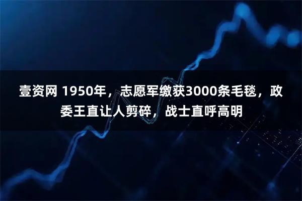 壹资网 1950年，志愿军缴获3000条毛毯，政委王直让人剪碎，战士直呼高明