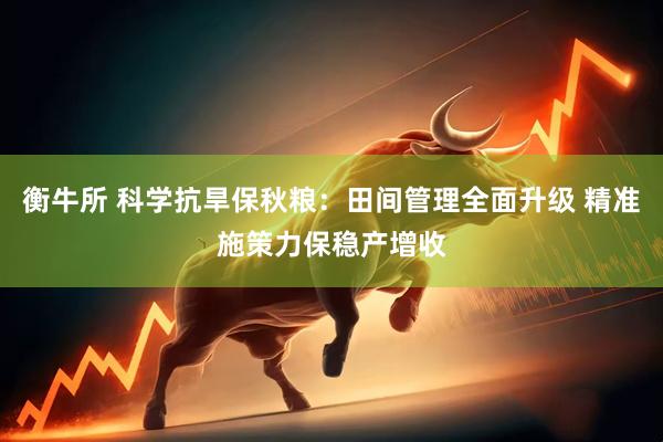 衡牛所 科学抗旱保秋粮：田间管理全面升级 精准施策力保稳产增收